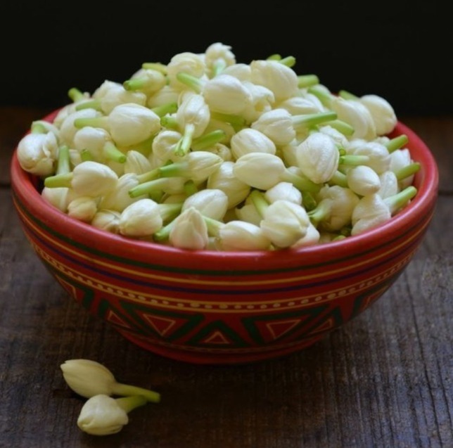 Jasmine Flower